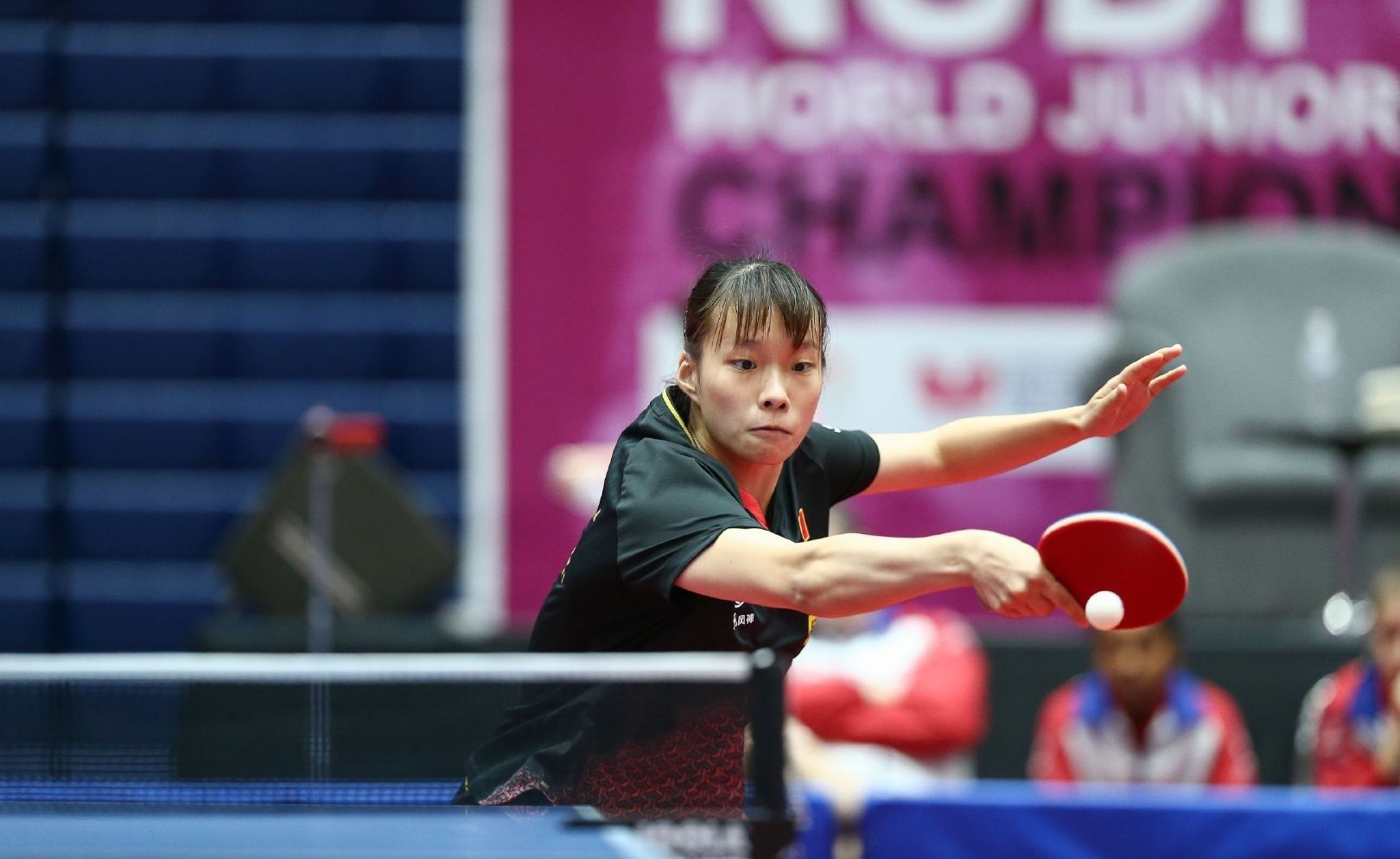 间的关系培 间的关系培