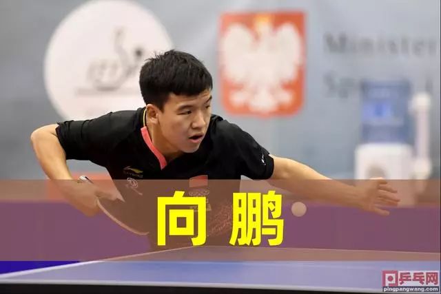 裁判判罚以 裁判判罚以